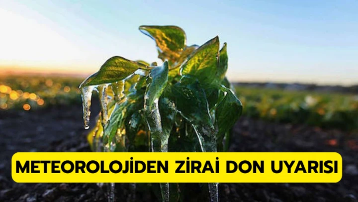 Meteorolojiden zirai don uyarısı