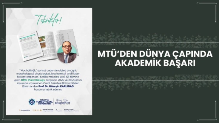 MTÜ’den Dünya Çapında Akademik Başarı