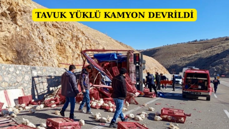 Tavuk Yüklü Kamyon Devrildi