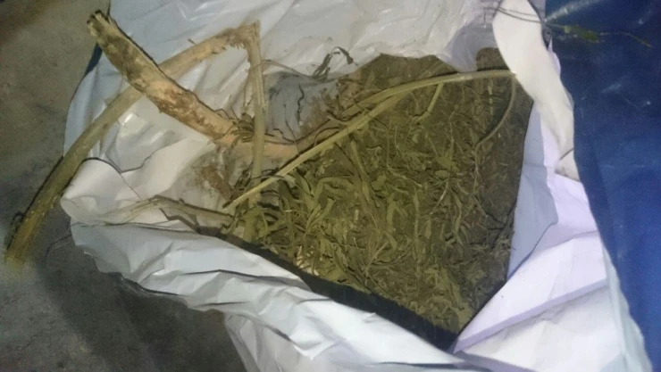 Uyuşturucu operasyonu: 8 tutuklama