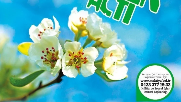 Büyükşehirden ödüllü fotoğraf yarışması