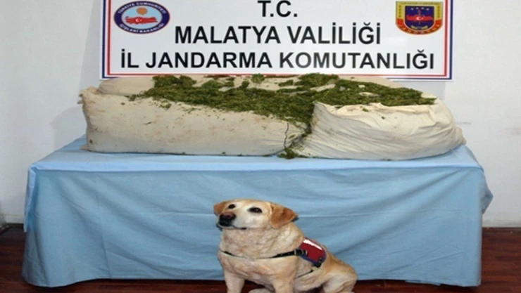 Jandarma 73 kilo uyuşturucu madde ele geçirdi