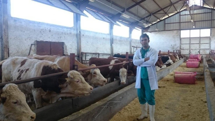 Veteriner hekim Saydan'ın milli hayvancılıkla ilgili araştırması
