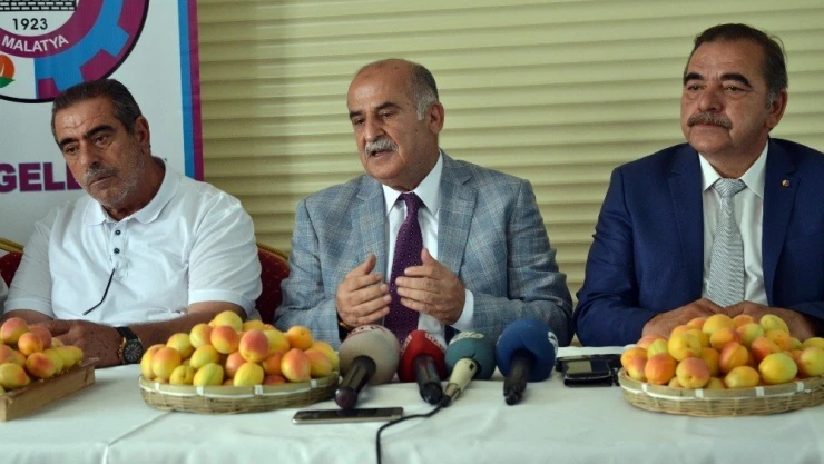 Kayısının AB Coğrafi İşaret Belgesi alması
