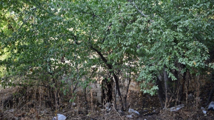 Tarihi hamam kaderine terk edilmiş durumda
