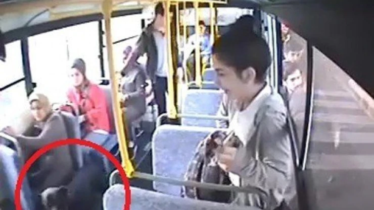 Halk otobüsüne köpek binince