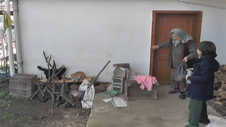 Emekli maaşıyla yüzlerce kediye bakıyor