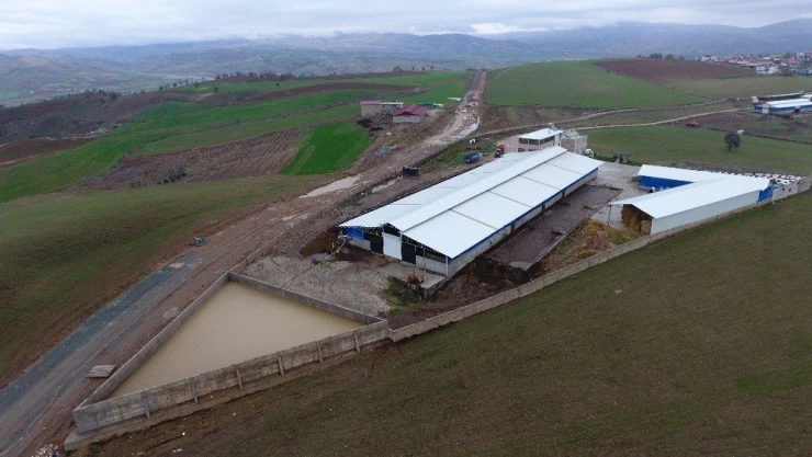 Gübre maliyetini 'sıfır'ladı