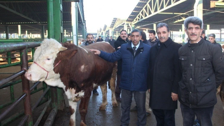 Kırmızı et üreticilerinden yem tepkisi