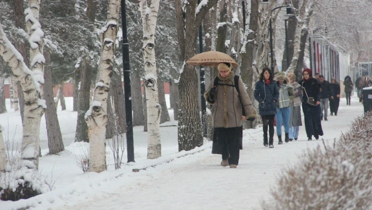 Türkiye'nin en soğuk ili Kars oldu