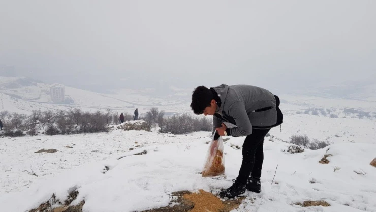 Gençler hayvanların aç kalmaması için doğaya yiyecek bıraktı