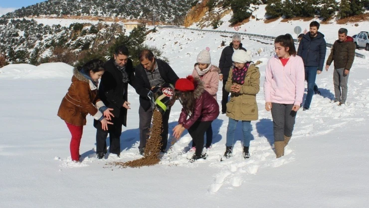 Öğrenciler doğaya mama bıraktı