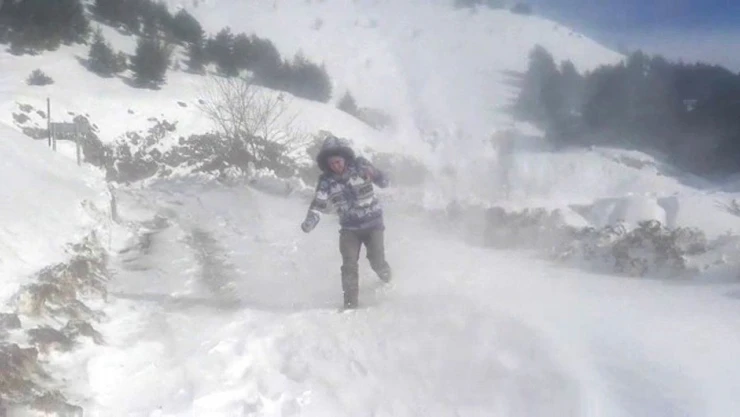 Sincik ilçesinde kar yerini tipiye bıraktı