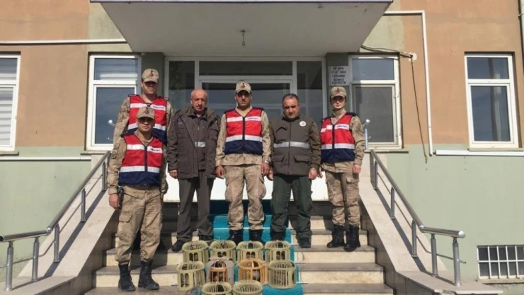 Elazığ'da kaçak avlanan 10 keklik ele geçirildi
