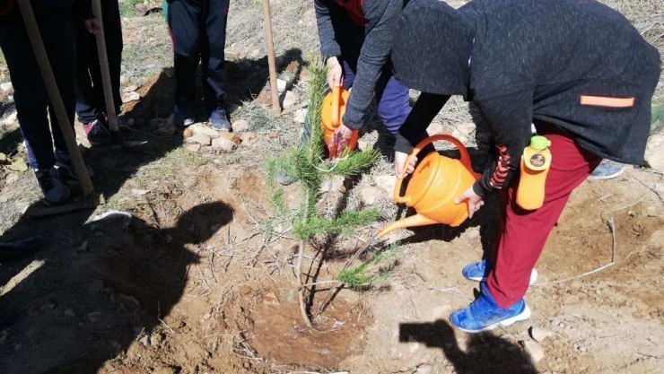 Öğrenciler şehitler için fidan dikti