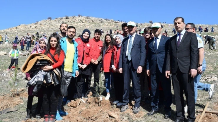Malatya'da fidanlar toprakla buluştu