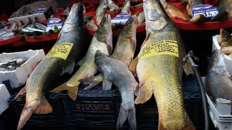 Sezonun son dev turnaları yakalandı