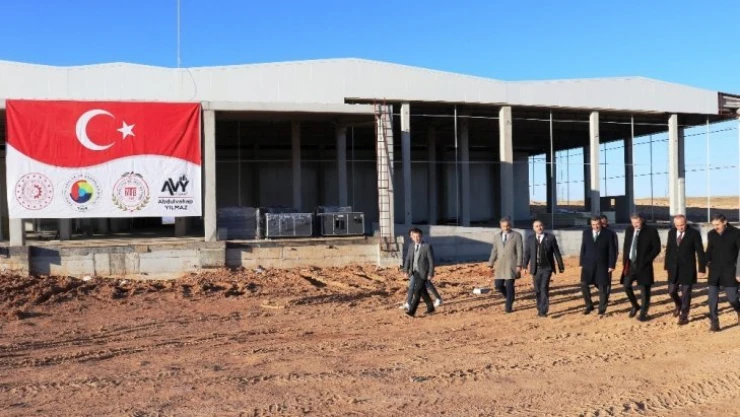 2020 kayısının yılı olacak