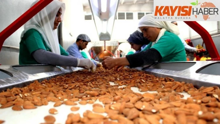 Adıyaman bademi zincir marketlerin raflarında