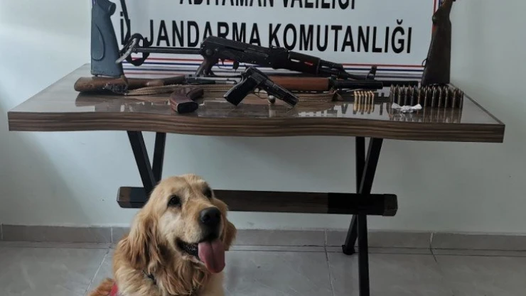 Adıyaman'da eş zamanlı silah operasyonu: 2 gözaltı