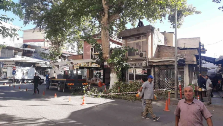 Ağaç işyerinin üzerine düştü