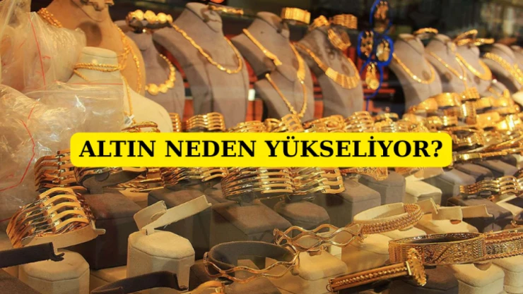 Altın neden yükseliyor?