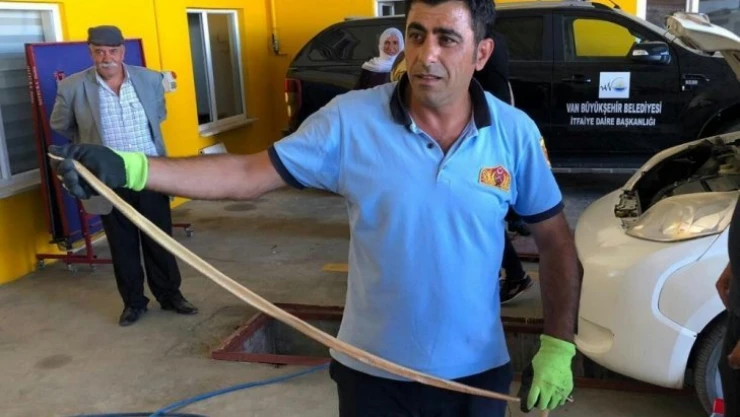 Araca giren yılan korkuttu