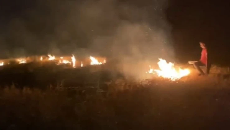 Arpa tarlasında çıkan yangın korkuttu