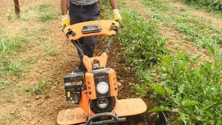 Ata tohumlarından ilaçsız doğal ürünler üretiliyor