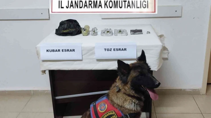 Bahçeye gömülü uyuşturucu ele geçirildi