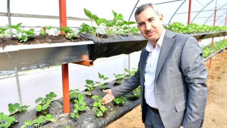 Başkan Çınar, Yeşil Gıda Seracılık Projesini inceledi