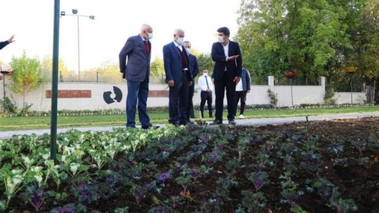 Battalgazi'ye 25 bin kök süs bitkisi dikiliyor