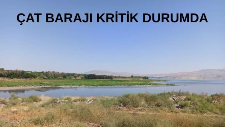 Çat Barajı kritik durumda
