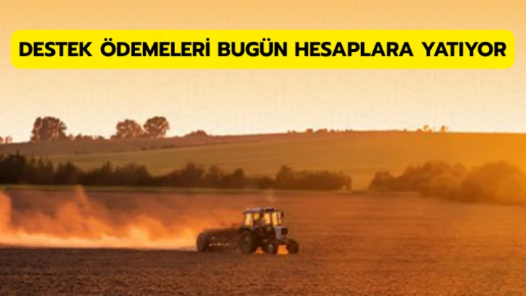 Destek ödemeleri bugün çiftçilerin hesaplarına aktarılıyor
