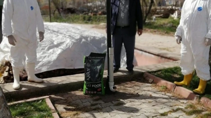 Doğanşehir'de  sokak hayvanları unutulmadı