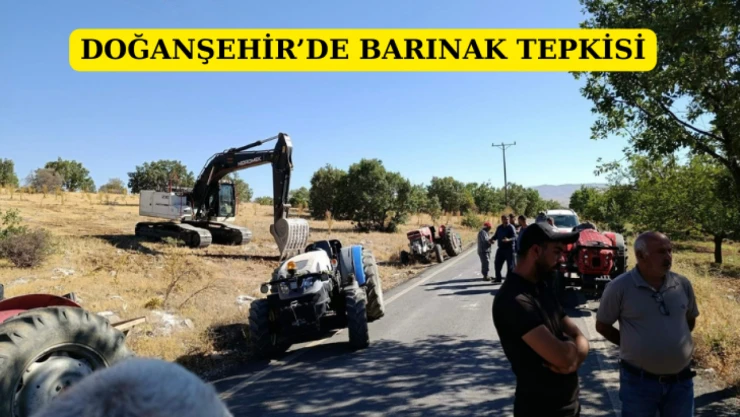 Doğanşehir'de barınak tepkisi