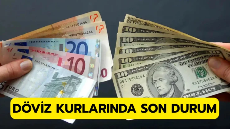 Döviz kurlarında son durum