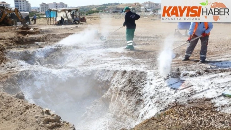 Elazığ'da  hayvan satış ve kesim yerleri temizlendi