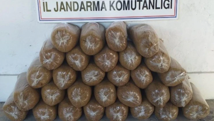 Elazığ'da 150 kilogram kaçak tütün elegeçirildi