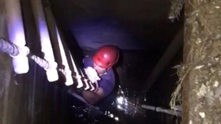 Elazığ'da kuyuya düşen kediyi itfaiye ekipleri kurtardı