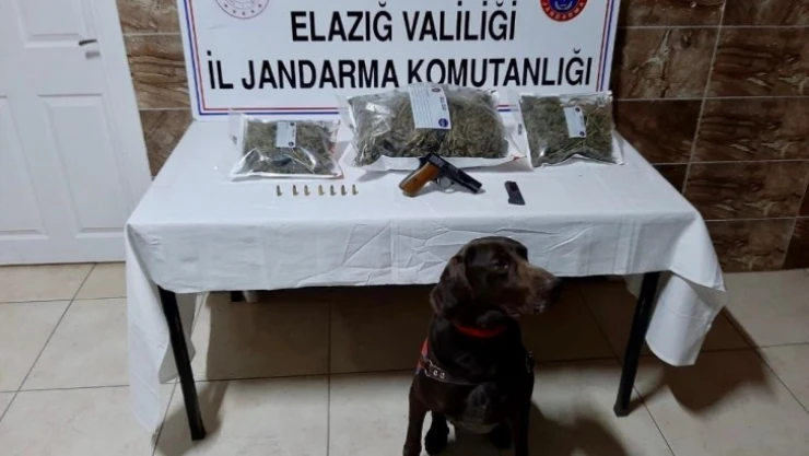 Elazığ'da uyuşturucu operasyonu:2 gözaltı