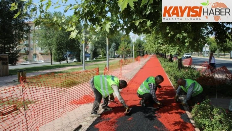 Elazığ'da yürüyüş yollarında yenileme çalışması