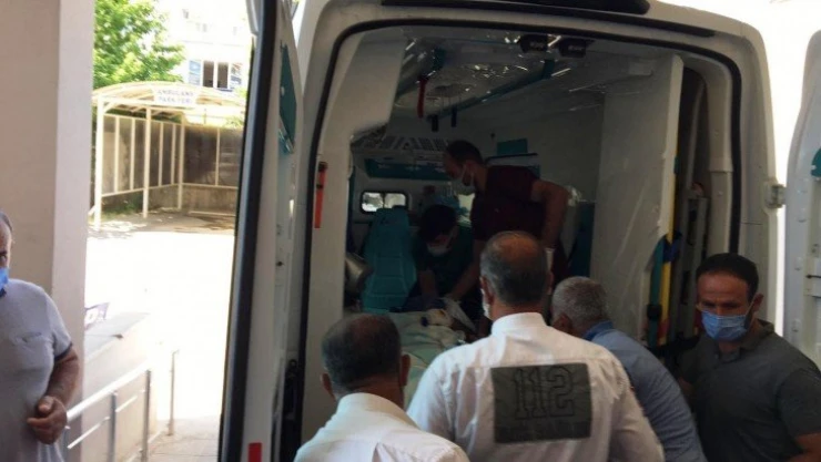 Engerek yılanın ısırdığı şahıs yoğun bakımda