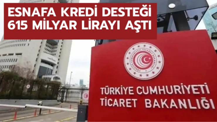Esnafa kredi desteği 615 milyar lirayı aştı