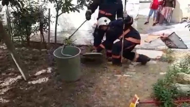 Evin bahçesine yılan girdi