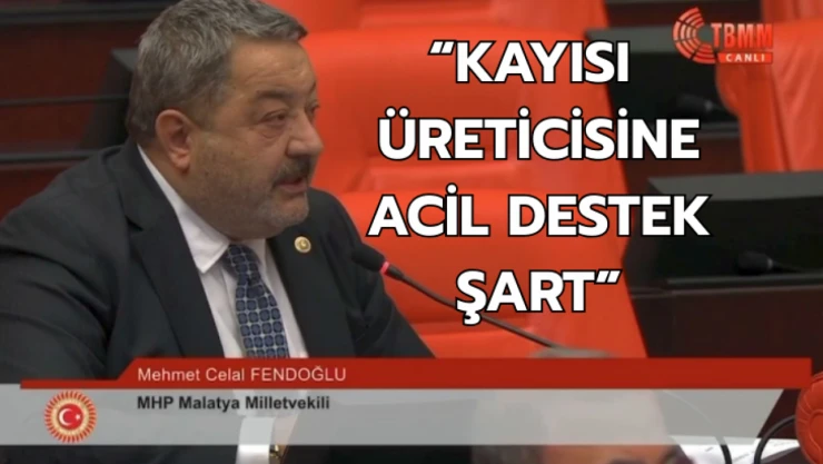 Fendoğlu: Kayısı üreticisine acil destek şart