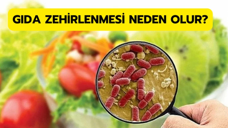 Gıda zehirlenmesi neden olur?