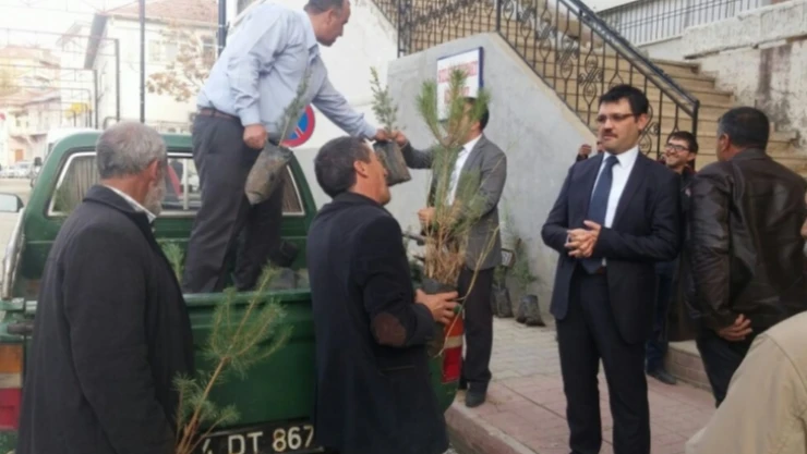 Şehit Kaymakam Safitürk için hatıra ormanı yapılacak