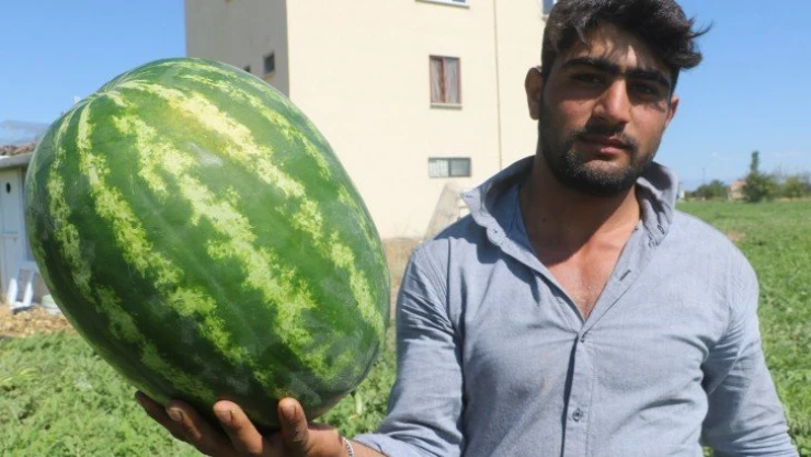 Görüntüsü göz kamaştırıyor, lezzeti damakları tatlandırıyor