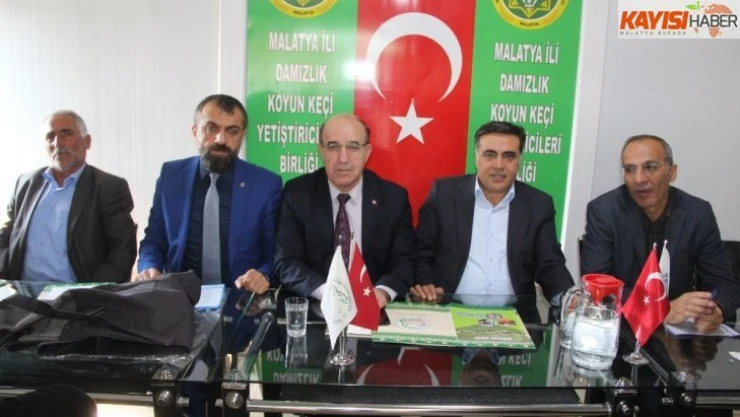 'Küçükbaş hayvancılığı özendirmeye çalışıyoruz'